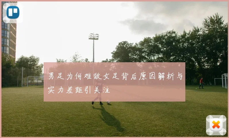 男足为何难敌女足背后原因解析与实力差距引关注