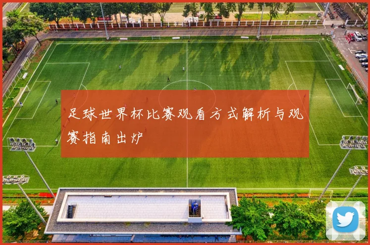 足球世界杯比赛观看方式解析与观赛指南出炉
